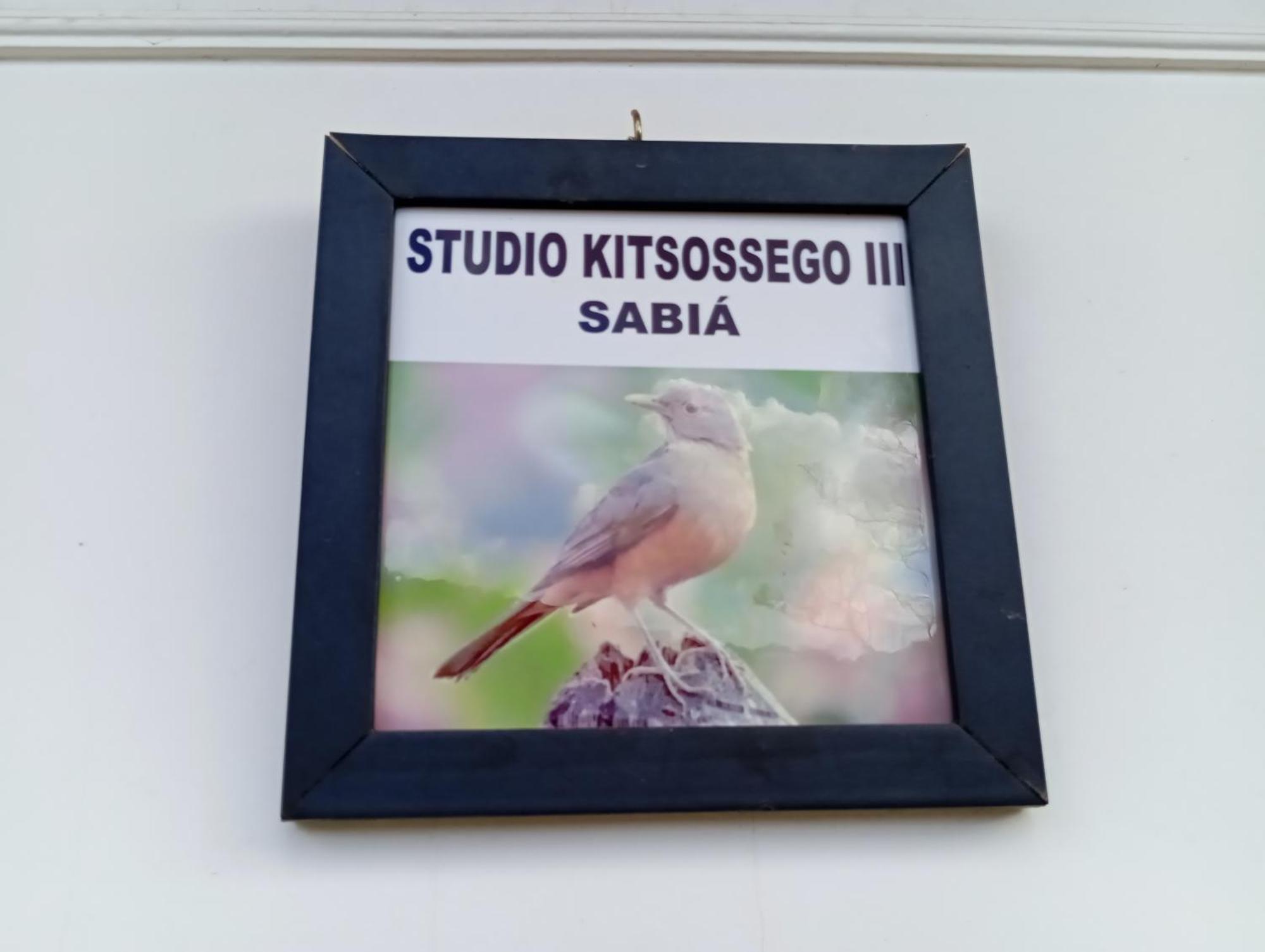Studio Kitsossego Curitiba Luaran gambar